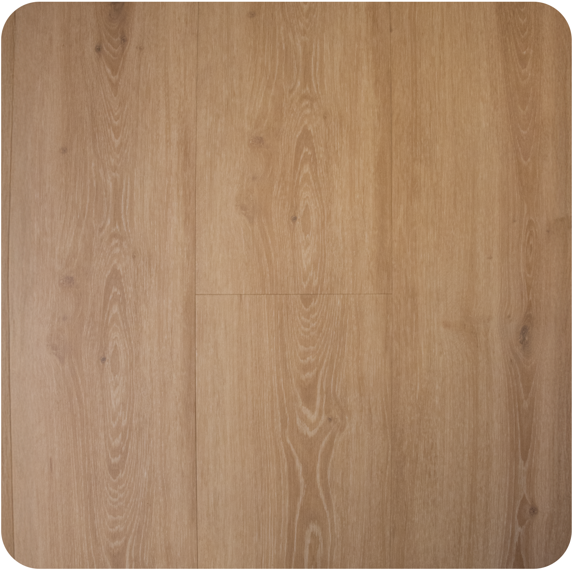 LVT Dryback Oak FC8114907 frá Floorcoat