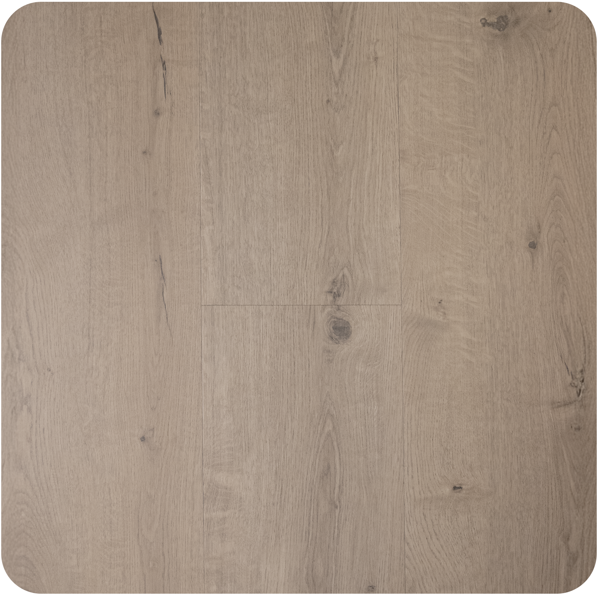 Silver Oak FC98101 frá Floorcoat